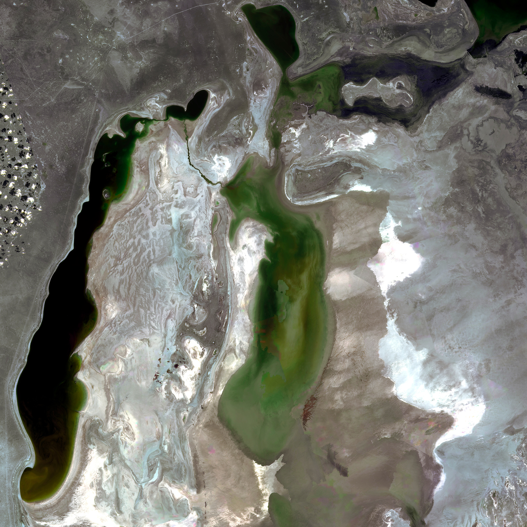 Аральское море снимок со спутника 2017